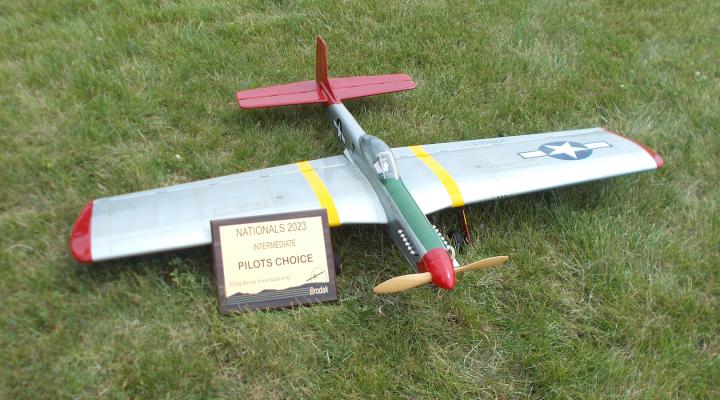 Pilot’s choice for the best-looking airplane in intermediate.
