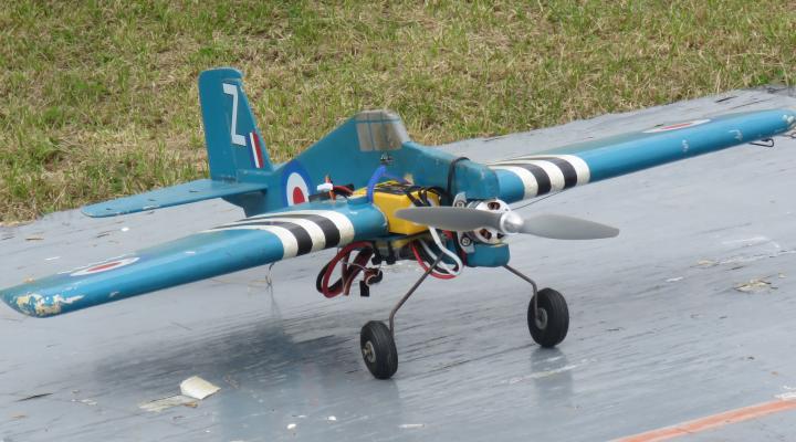 Blue remote-controlled plane on runway, grass in background.