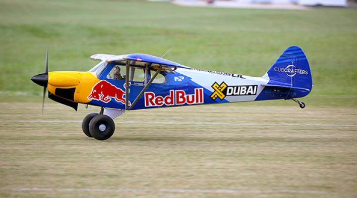 Small propeller plane with Red Bull branding on a grassy field.