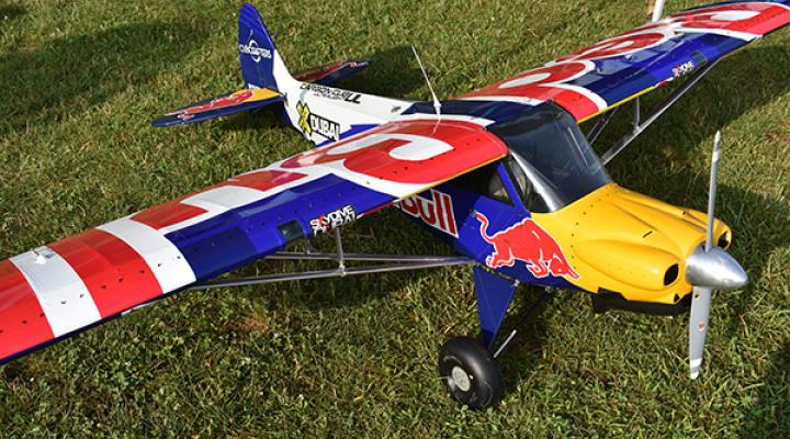 Radio-controlled Red Bull model airplane on grass.